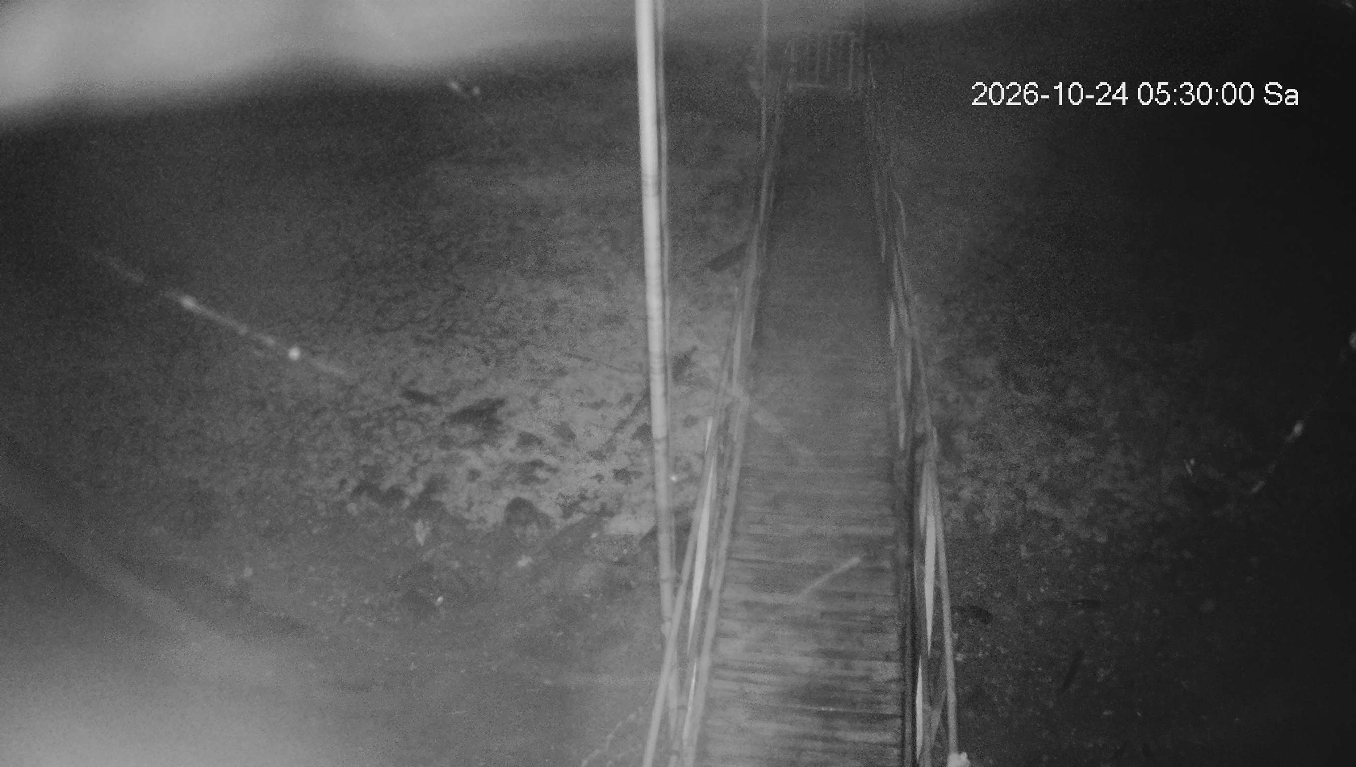 Webcam img missing